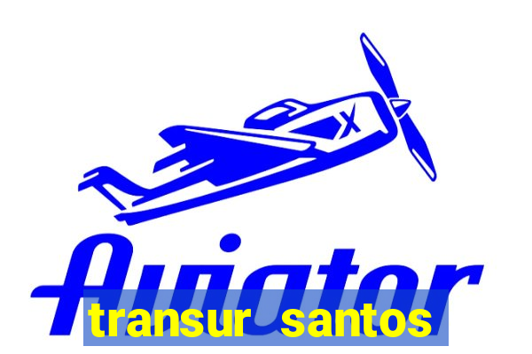 transur santos dumont x juiz de fora 2024